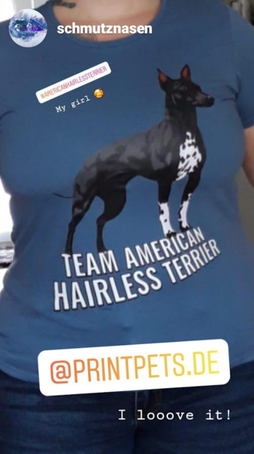 Team American Hairless Terrier Shirt