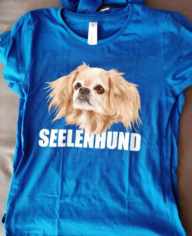 POPETPOP Hund Sommerhut-Haustier Sommer Shirt Cap Sets Druck Shirt für Haustier Hund Tier blau XXL Größe, Haustier Strohhut, L Größe 